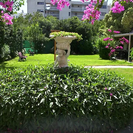 Jasmine Limassol
