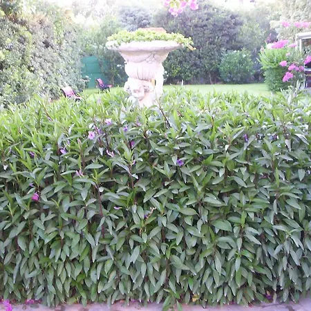 Jasmine Appart hôtel Limassol