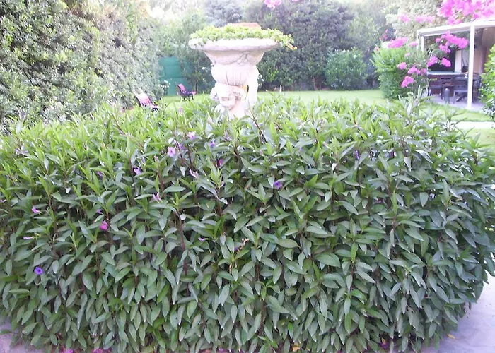 Jasmine Ξενοδοχείο με διαμερίσματα Λεμεσός