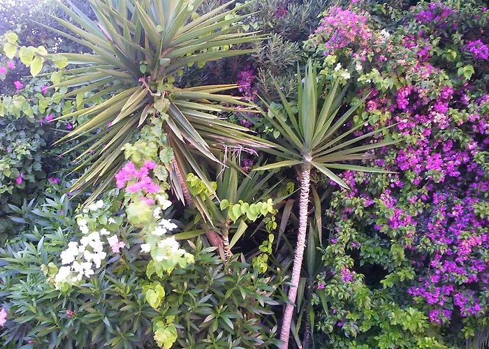 Ξενοδοχείο με διαμερίσματα Jasmine 3*