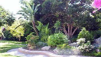 Jasmine Λεμεσός